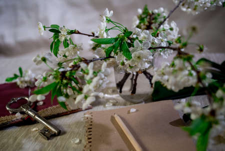 Clever thoughts from the book can be written on a paper can be a key to knowledgeの写真素材