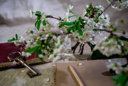 Clever thoughts from the book can be written on a paper can be a key to knowledgeの写真素材