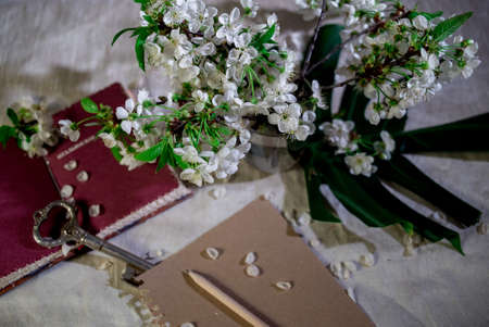 Clever thoughts from the book can be written on a paper can be a key to knowledgeの写真素材