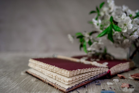 Red book with macaroonsの写真素材