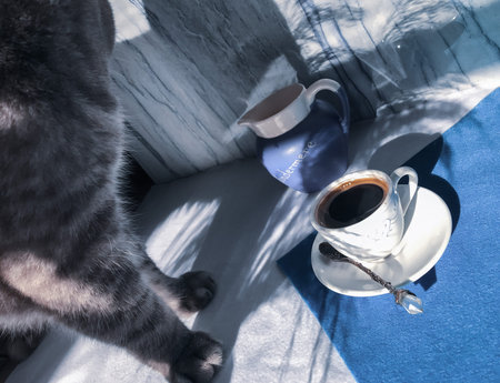 Coffee in a white cup with a spoon and small jug of milk on a blue and white background with dry...