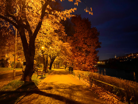 Golden autumn on the embankment at night in the light of lanternsの写真素材