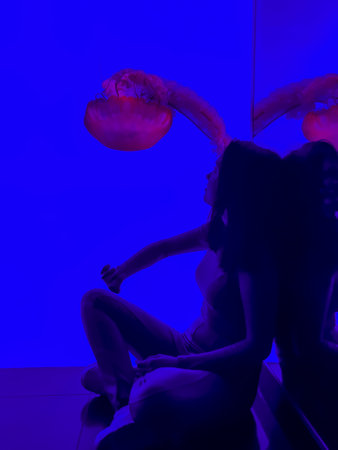 Girl at aquarium watching jellyfish swim in the water columnの写真素材