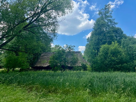 Old wooden house in the meadow with green grass and blue skyの写真素材