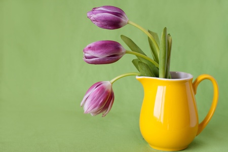 Delicate bouquet of purple tulips in a yellow jugの写真素材