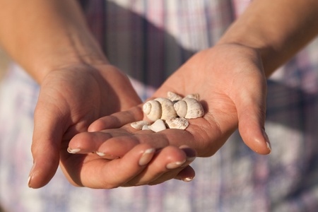 A girl holding a lot of bright shellsの写真素材