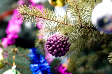 Beautiful color christmas decorations hanging on christmas treeの写真素材