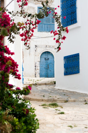 Blue doors and white wall of building in Sidi Bou Said, Tunisiaの写真素材