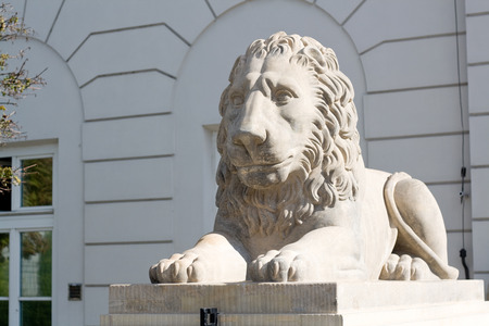 Sculpture of a lion near the Royal Palace in Warsaw, Poland.のeditorial素材