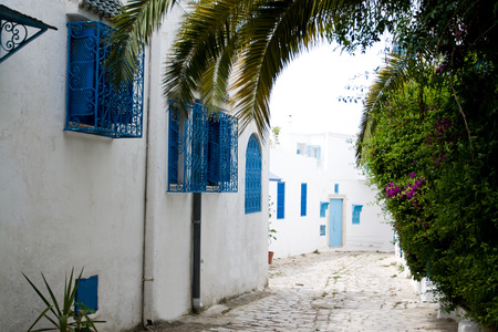 Blue doors, window and white wall of building in Sidi Bou Said, Tunisiaのeditorial素材