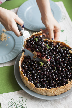 Berry sand pie: the girl slicing the cake and spreads the pieces on the blue plates.の写真素材