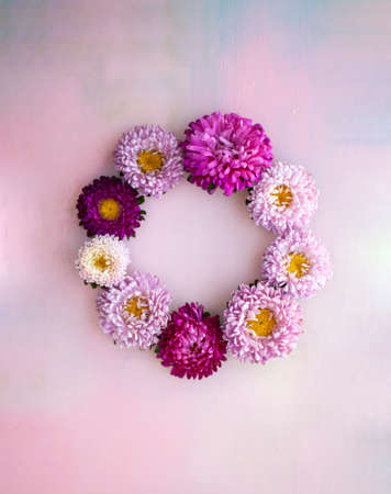 Square pink wooden banner with aster flowers lying in a wreath. Place for text.の写真素材