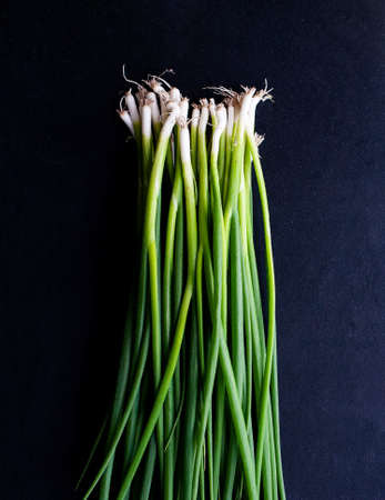 Bunch of young eco-friendly farm onions. Photo in a dark key. Place for inscription.の写真素材