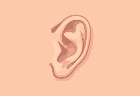Human ear closeup. Design template of body part.のイラスト素材