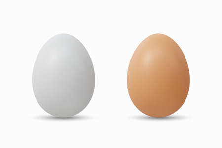 3d Realistic White Brown Eggs Vector illustrationのイラスト素材