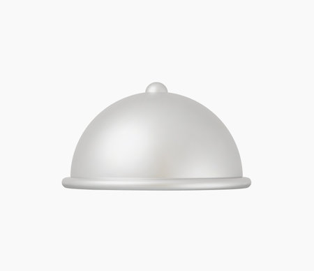 3d Realistic Food serving Icon vector illustrationsのイラスト素材