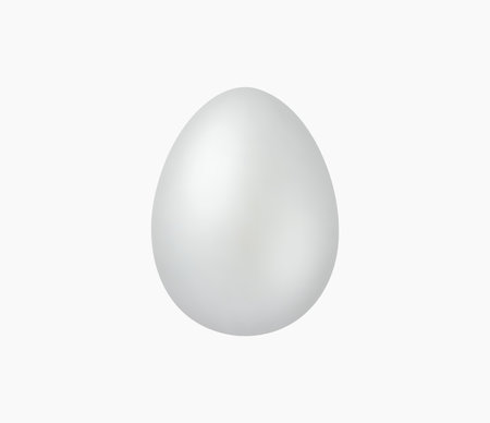 3d Realistic Silver Egg Vector illustrationのイラスト素材