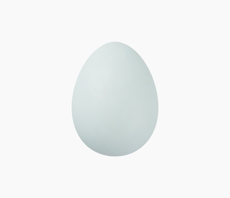 3d Realistic Egg Vector illustrationのイラスト素材