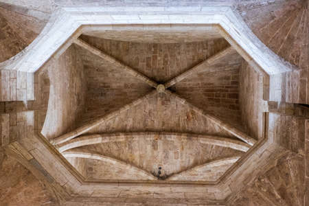 Detail of the cross vault of the Tower de Serranosのeditorial素材