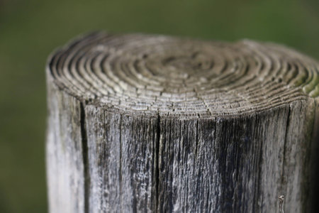 Wooden Postの写真素材