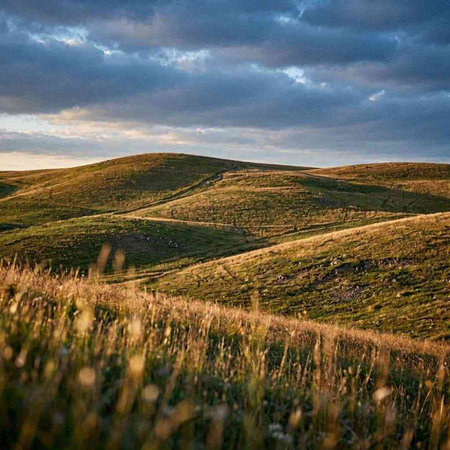 Meadow in the Peak District National Park, England, UK