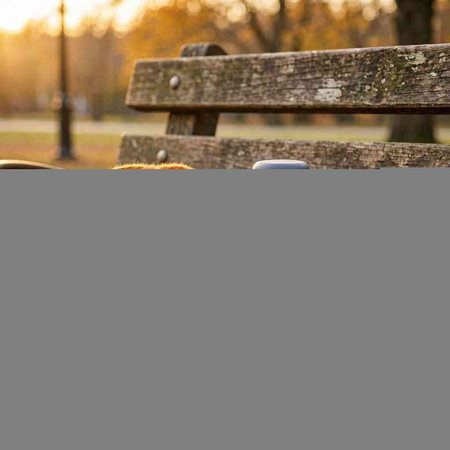 A closeup shot of a bench in a park with a blurred background