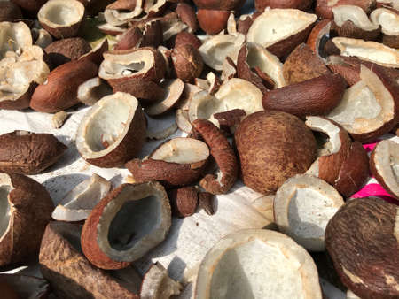 Sweet Coconut shells cut into half kept in direct sun light for dry process so that Coconut hair oil manufacturing stepsの写真素材
