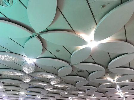 Butterfly or Flower designed suspended gypsum false ceiling designed interiors for international...