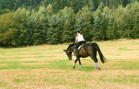 Equestrienne rides at a gallop across the field  の写真素材