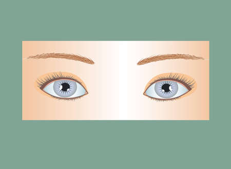 blue eyes of northern womanのイラスト素材