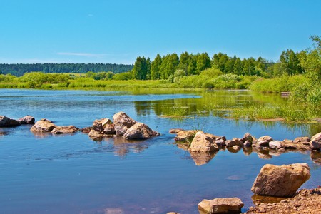 Stones on the river on a background of a woodの写真素材