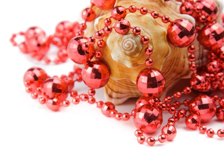 Cockleshellの写真素材