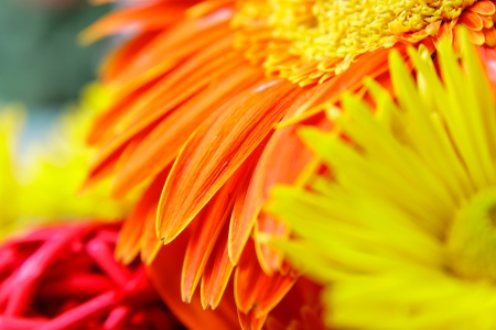 Beautiful isolated bouquet of flowers over white backgroundの写真素材