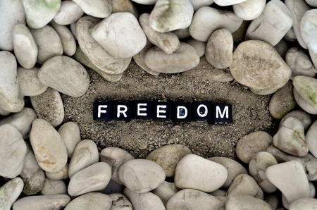 FREEDOM word placed on top of sand surrounded by rock formationの写真素材