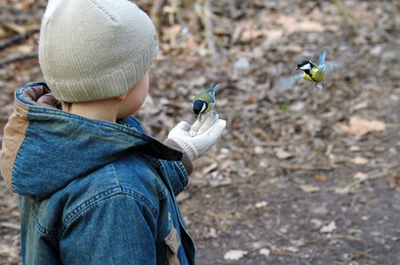 child and titsの写真素材