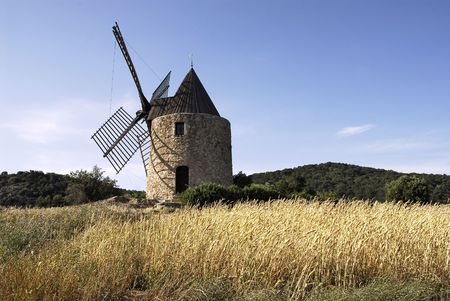 windill in a corn fieldの写真素材