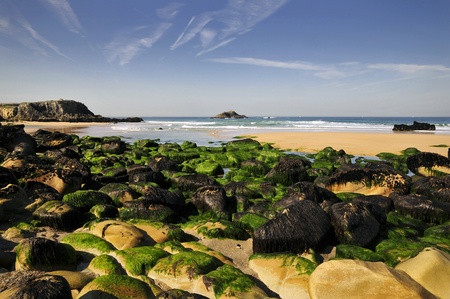 Rocks with algae on the beach of Port Bara on the wild coast of the peninsula of Quiberon in the Morbihan department in Brittany in north-western France.の写真素材