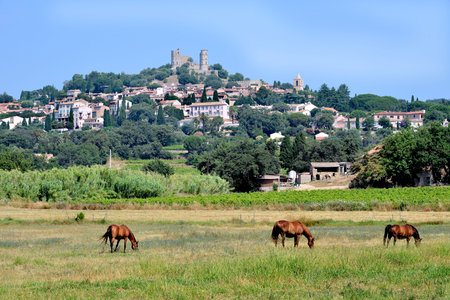Landscape of village of Grimaud with grazing horses in field, commune in the Var department in the...