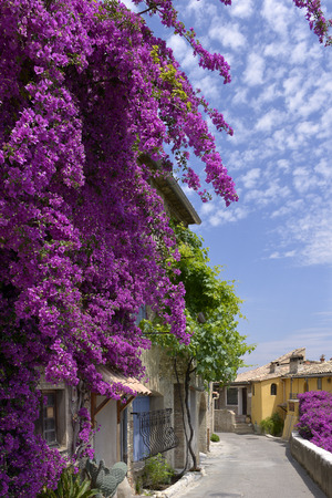 Village of Le Haut de Cagnes sur Mer with a beautiful red bougainvillea in southeastern France, department Alpes Maritimesの写真素材
