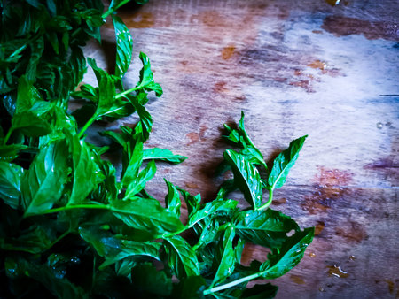 healthy natural herbs and spices