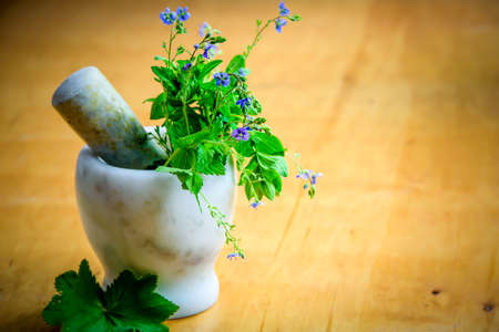 healthy natural herbs and spicesの写真素材