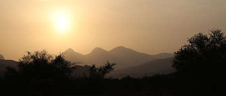trees with the sunset in Oman mountainsの写真素材