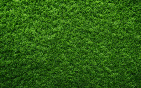 Top view artificial grass soccer field background textureの素材
