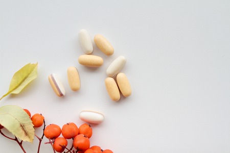 tablets and autumn red berriesの写真素材