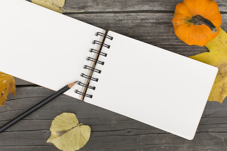 Autumn composition with blank open notebookの写真素材