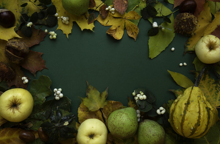 Dark green autumn top view background frameの写真素材