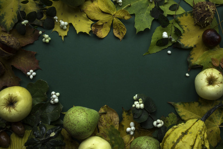 Dark green yellow fall fruit harvest leaves frame still-life top viewの写真素材