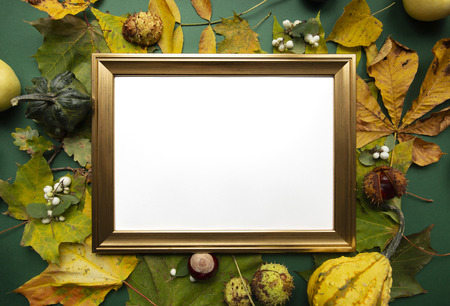 Green yellow autumn harvest around gold blank frame top view backgroundの写真素材