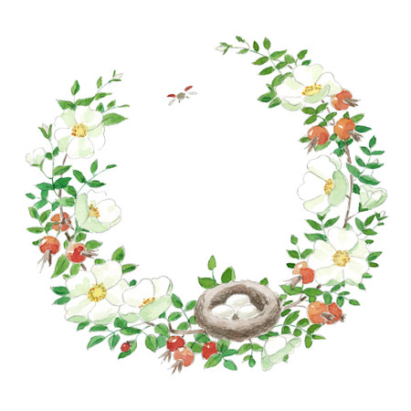Beautiful cosy vintage hand drawn watercolor white rosehip wreath frameの写真素材