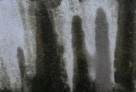 Mossy texture with dark streaks on concrete wall background looking like painting of ghost forest silhouettes of creatures Fantastic Beasts ot Humansの写真素材